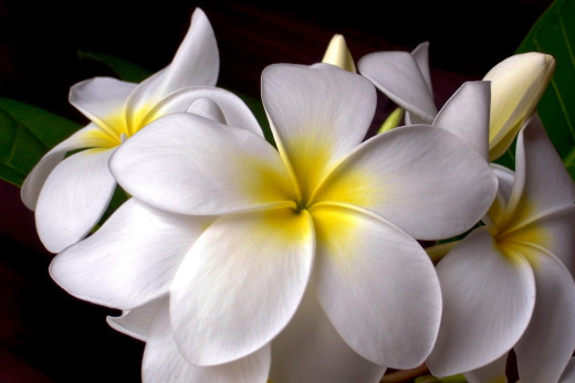 761500 (a): :2500x1665